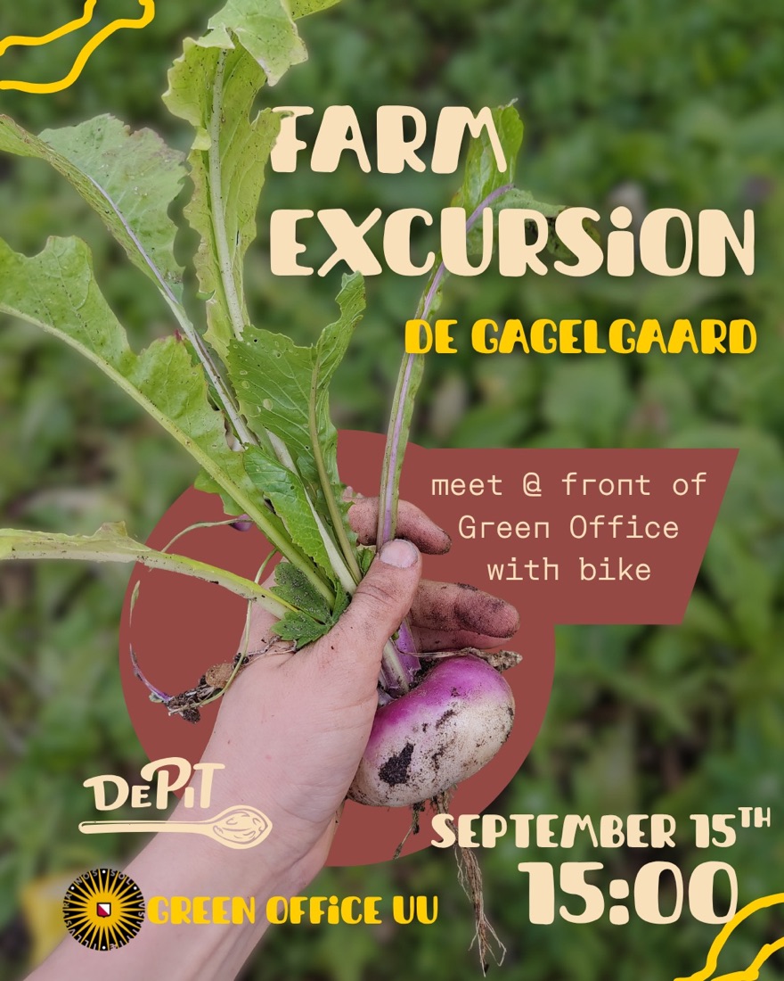 Hand holding a freshly harvested turnip, poster for the farm excursion to de Gagelgaard.